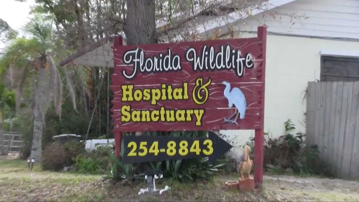 lets_getethical's tweet photo. Donate to the Florida Wildlife Hospital and Sanctuary and save a life - https://t.co/8Rof2IRWFl

If a donation is made email me at minerb21@trinityprep.org https://t.co/27PDR1LvE8