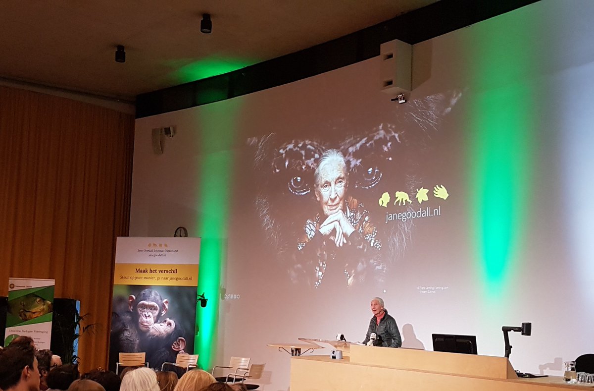 UUBeta's tweet image. 'Curiosity is the start of every scientist', says Jane Goodall during her lecture Lessons from Nature at @UtrechtUni, organised by the Utrecht Biology Students @UBVinfo #LessonsFromNature