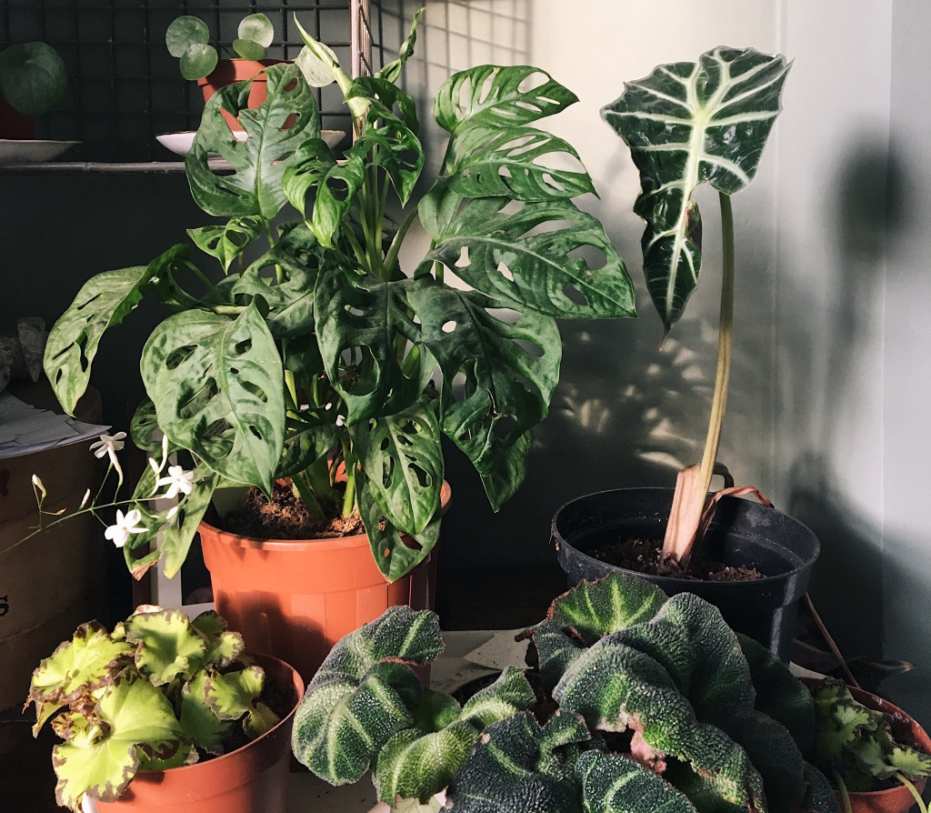 Sabrina Wolfe tweet media