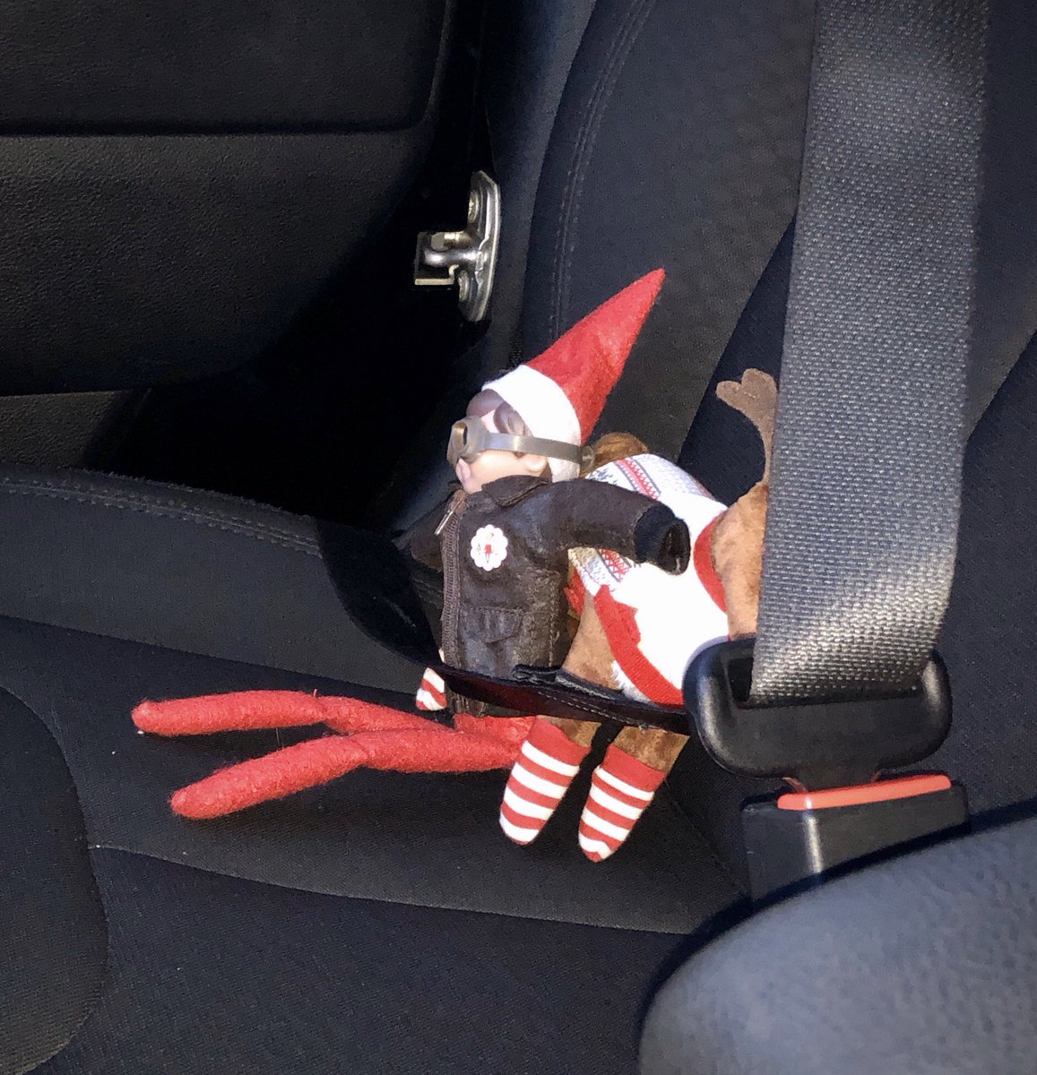 Himes412's tweet photo. The #elves have made their way back out into civilization! Ky, on her way to college this AM had 2 co-pilots ππ and Holden is in for a surprise when he opens his #backpack at school this morning ππ #Surprise #RideOrDieBuddy #EducationalElf #Pets #elfontheshelf https://t.co/9Eomw9fvcU