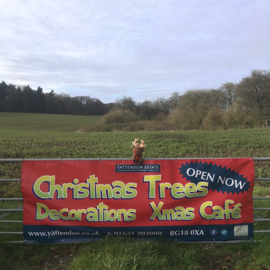 Yattendon Estates tweet media