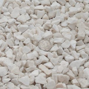 Websters Timber tweet media