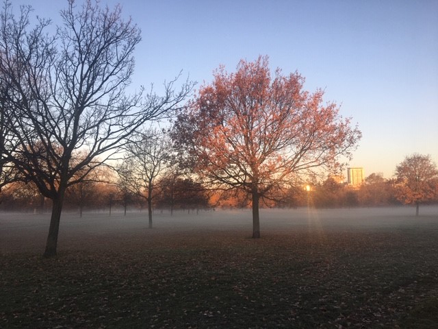 Support from players @PostcodeLottery helps provide food & shelter for invertebrates across @theroyalparks. As it gets colder we're planting spring bulbs & sowing wildflowers to get our tiniest residents through winter & encourage more to move in next spring #TogetherForCharity