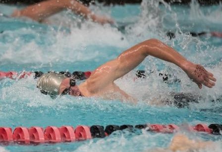MEET DAY!! 
Come out &amp; support ur @burgathletics <a href="/sportswls/">WL-S Athletic Dept.</a> <a href="/GrahamAthletics/">Graham Athletics</a> &amp; <a href="/LCSRedRaiders/">London High School Athletics</a> swimmers @ our 1st ever HOME meet as we host Beechcroft <a href="/alder_swim/">Jonathan Alder Swim Team</a> <a href="/UHS_swim/">UHS Swim Team</a> <a href="/swimhths/">HTHS Swim</a> &amp; <a href="/FairbanksNation/">Fairbanks Athletics</a> 
1st splash is 6:30 pm <a href="/ChampFamilyY/">Champaign Family YMCA</a>. <a href="/thetribeHQ/">THE TRIBE</a> <a href="/WLSjungle/">WL-S Jungle</a> <a href="/GHSNESTHQ/">The Nest</a>