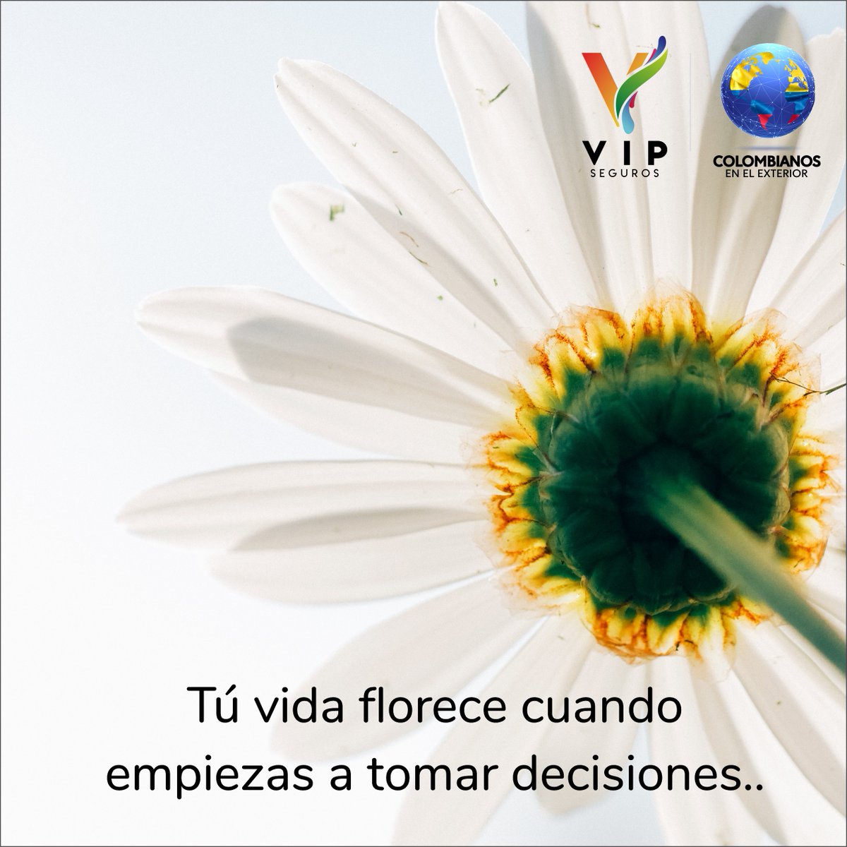SegurosVIPco's tweet photo. ASEGURA tu Presente, PROTEGE tu Futuro.

#segurosvipco #segurosvip #seguroscolombia #segurosmedellin #segurosbogota #seguroscali #segurovida #segurosalud #calidaddevida #segurosfamilia https://t.co/uLbifl76HL