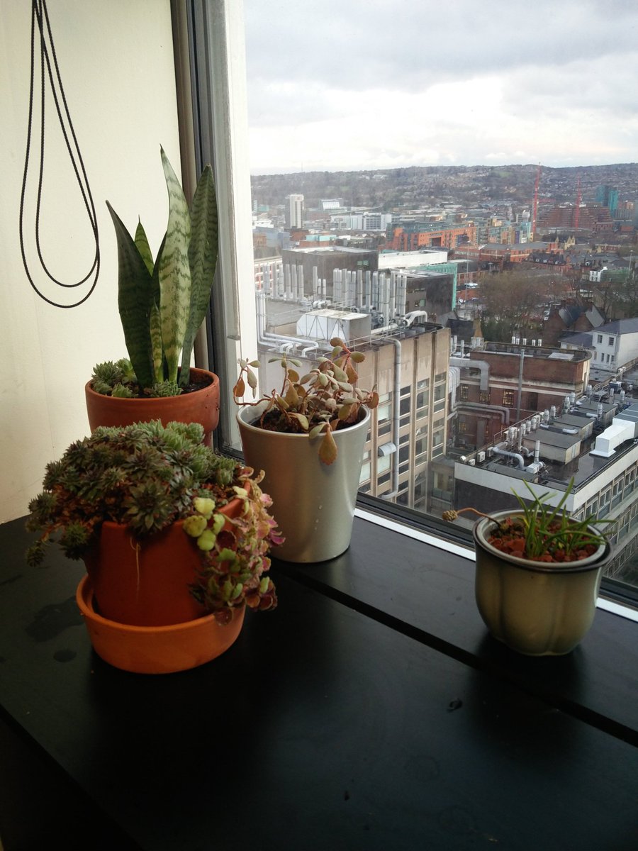 Putting some commons theory in practice today by taking a mindful break from our writing and sprucing up the PhD kitchen plants! A good effort <a href="/FrankielBoyd/">Dr Frankie Boyd</a> , <a href="/nadinekhayat/">nadine khayat</a>, <a href="/LandscapeSheff/">Landscape Sheffield</a> &amp; <a href="/SSoA_news/">Sheffield Architecture</a> PhD students.