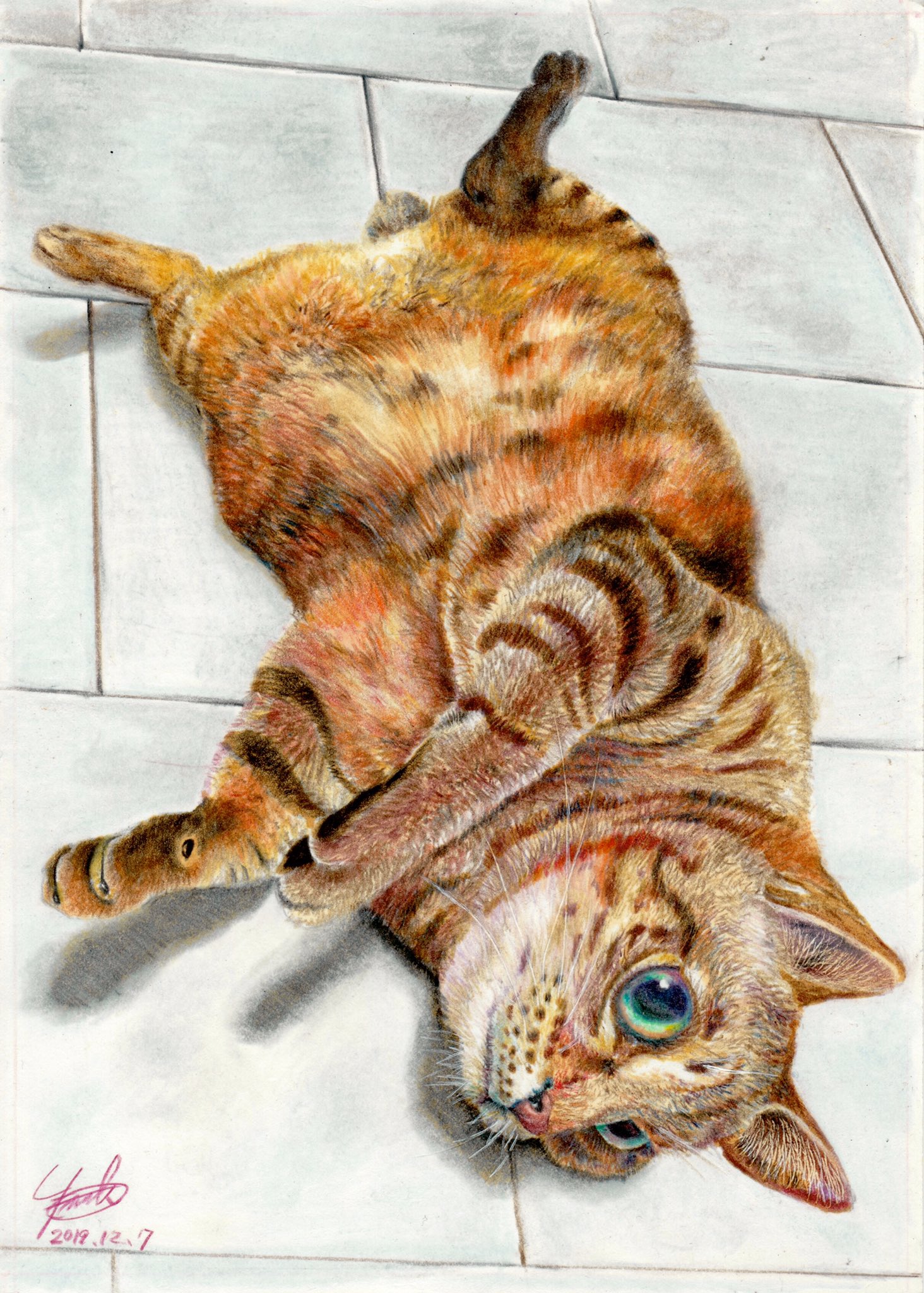 作品名: 猫 /色鉛筆画 /ケント紙 /B5サイズ /原画(作品一覧 作品名: 猫 /色鉛筆画 /ケント紙 /B5サイズ /原画(作品一覧