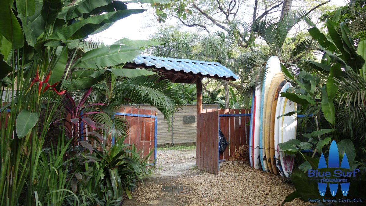 BlueSurfCR's tweet photo. Surf lessons|Surf coach|Boards rental|ATV rent|Tours|adventures &amp; Pura Vida!

Book now here:

https://t.co/qjSBGNeshq
https://t.co/wJ8w5mNBJx https://t.co/MfiRfVNIqB