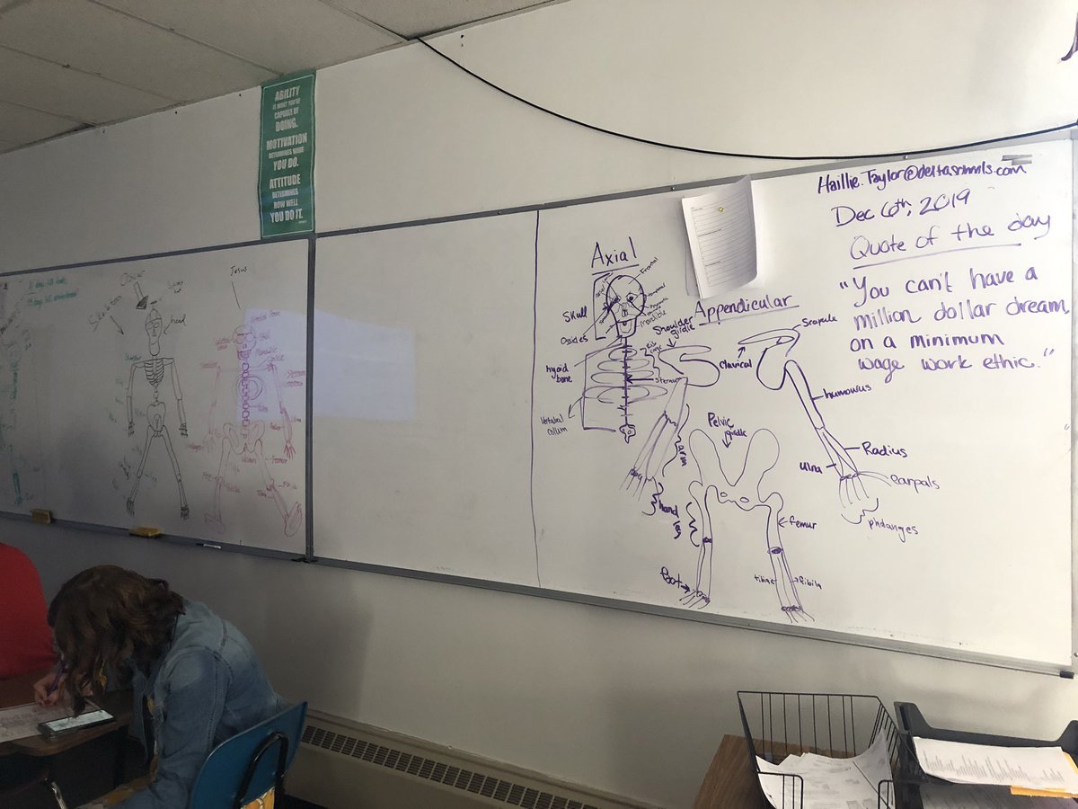 HaillieTaylor's tweet photo. Learning our axial and appendicular skeleton in Sports Medicine https://t.co/yUqDHYZfF2