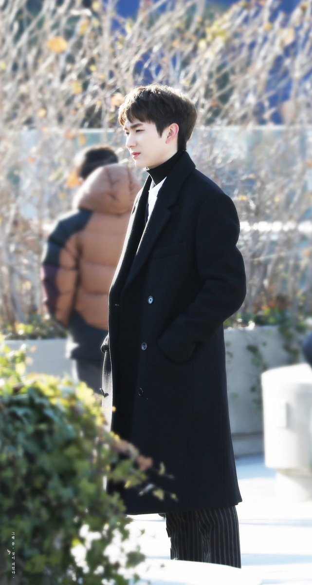 그해 봄, 꽃이 피었다 🦋 tweet media
