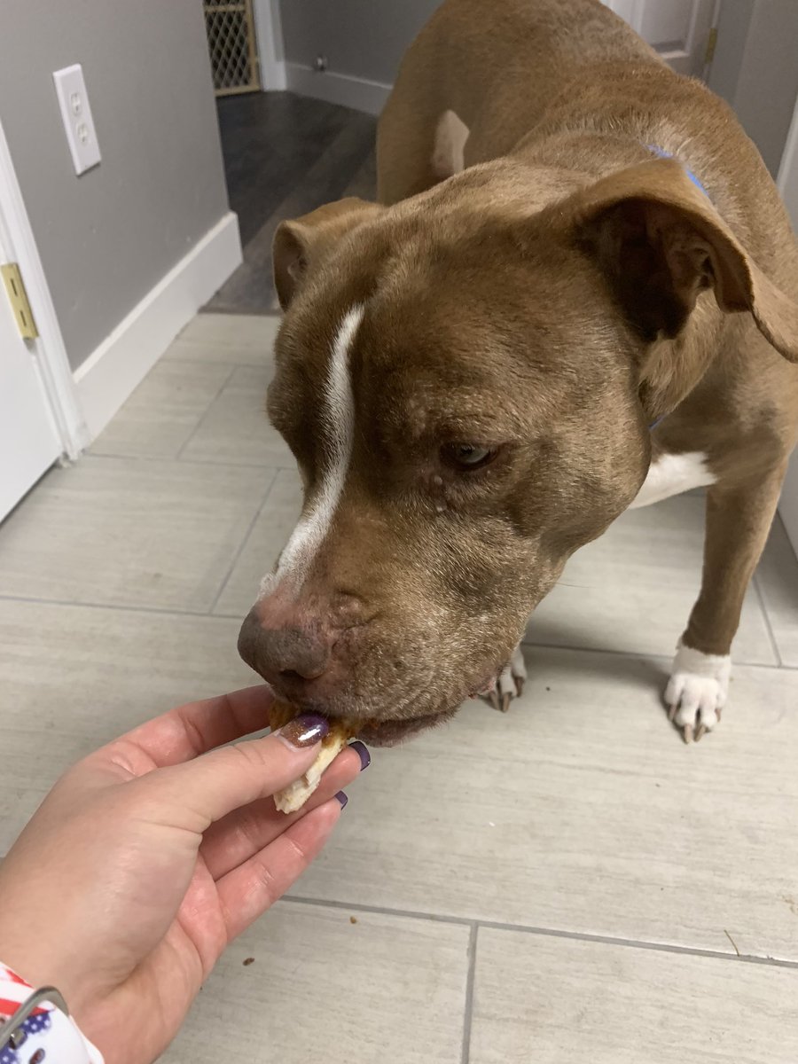 Alyssa Craig (Buchanan) tweet media