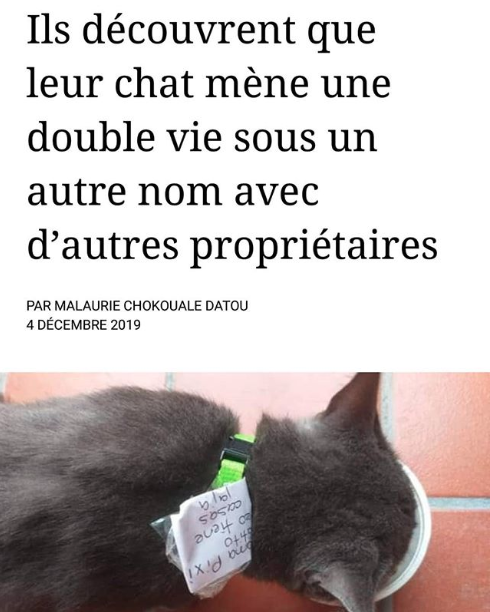 funcorporation's tweet photo. Les chats ces connards. https://t.co/subGBRvxWu