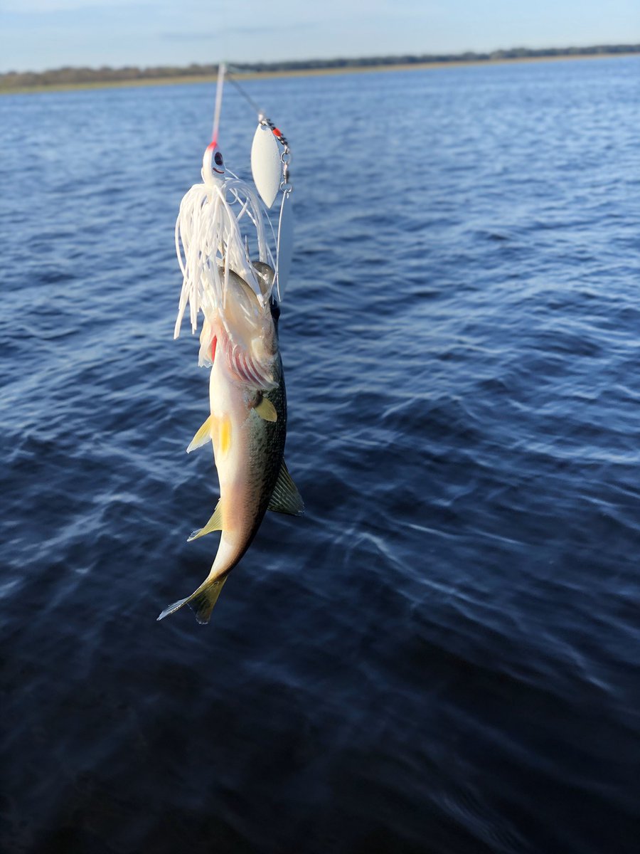PSbassguide's tweet photo. @BassingGal @YouTube @dj_mac_nificent @Lydia_fishing @TravisG1988 @SGumpa @Hearn_Steve @kathym8896 @KidsThatFish @lapbass @LJMoss1 @BassTamer @GloProLures @FishingLloyd @SnatcherFish @OrchardStanley Fun, fun, fun Striper on the run! Ty ty Barbara! #hawgall weekend! https://t.co/pliiDiXCom