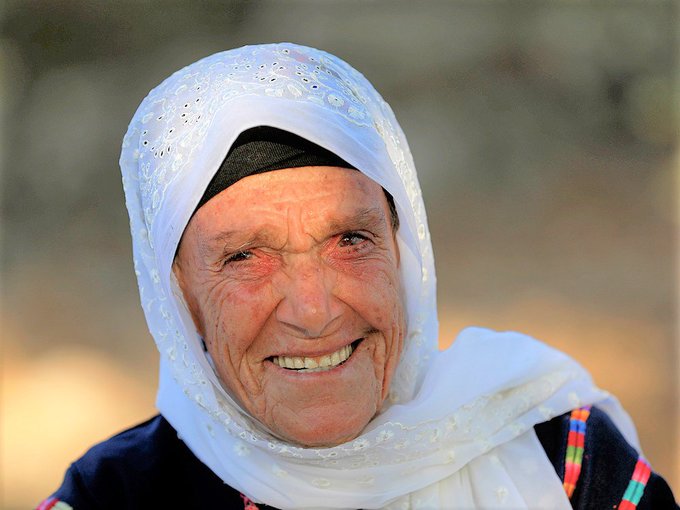 View image on Twitter