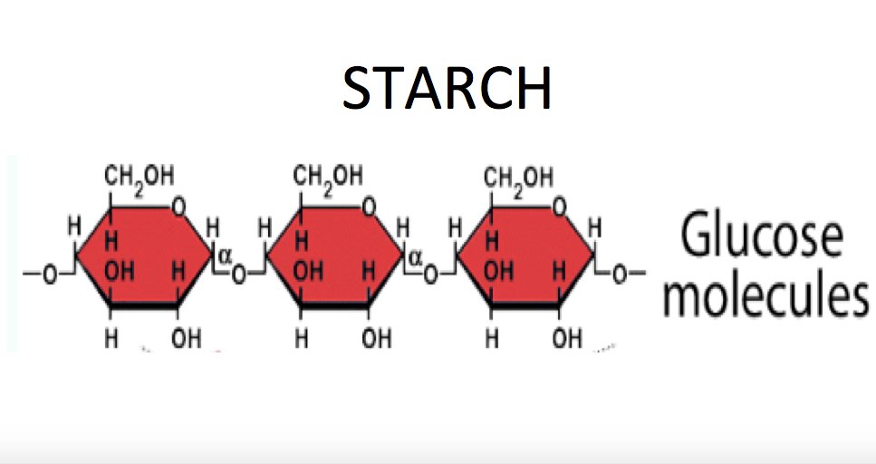 5/16What many people don't appreciate is how much sugar is released from starchy carbsStarch is a string of glucose (sugar) molecules "holding hands" which our bodies rapidly break down into glucose