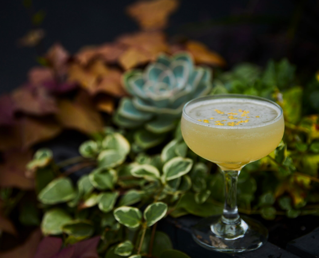 Bluecoat Gin + Pink Peppercorn + Bee Pollen + Pear Honey. The combination you never knew you needed in a cocktail 🐝 Our take on the classic Bee's Knees - the Twelve Bees 
--
#beesknees #bluecoatgin #bluecoa #drinkphilly #phillydrinker #eaterphilly #phillyfoodies