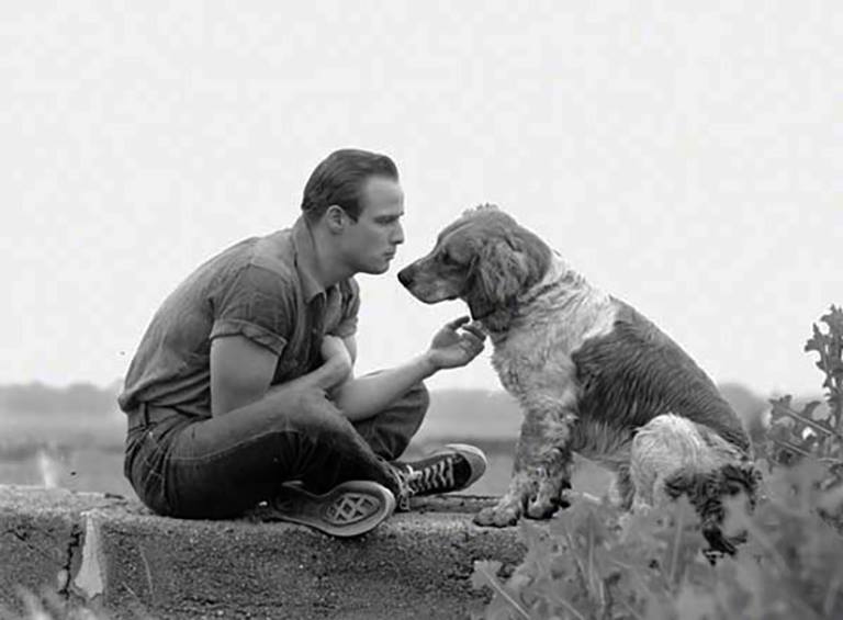 Marlon Brando by Art Shay