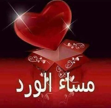 alialia23971825's tweet photo. مسااااء النور عليكم وليكم وحشههه ورجعت بالسلامه ليكم حبيباتى ومتابعيااا https://t.co/XV4Pk3GkGS
