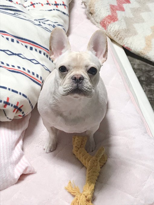 きみ、顔小さすぎない???????? 