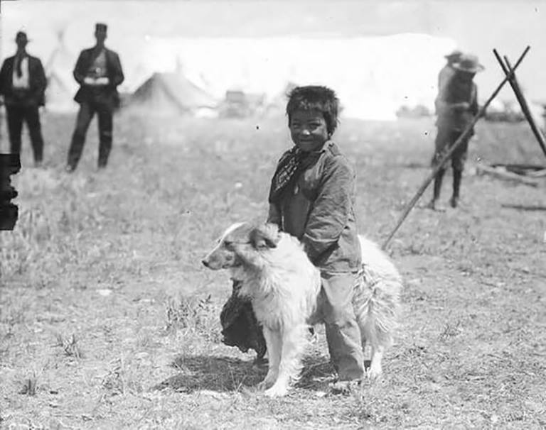A Blackfoot / Siksika boy on a dog. Name unknown, early 1900s. Photo by Walter McClintock.