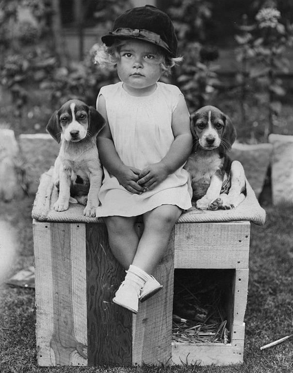 Girl with beagle puppies