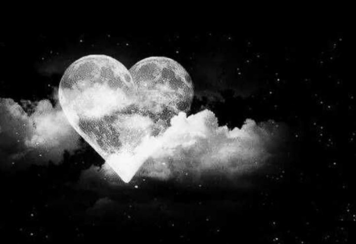Priyanshi_001's tweet photo. 🍃🥀🍃🥀🍃
#Friendship is not about whom you #spend your most #time with,
It's #actually about whom you have the #best_time with and who's #actually there for you.
#Good_Night
🍃🥀🍃🥀🍃🥀 https://t.co/Xd3bj4C1oP