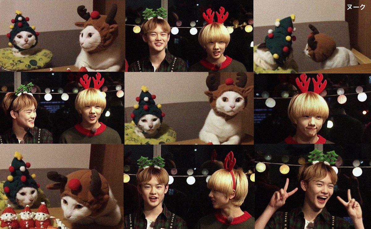 ヌーク 🎄 tweet media