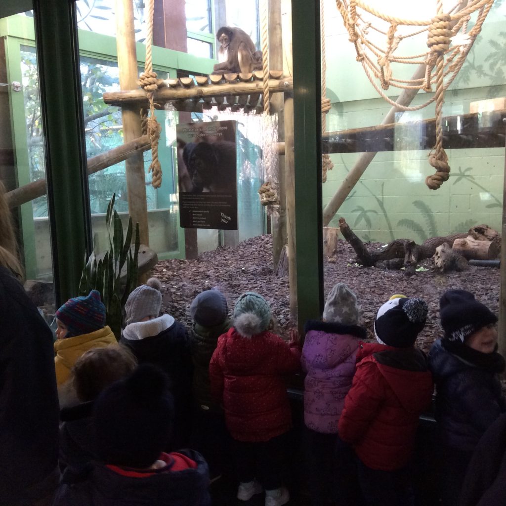 Clifton_College's tweet image. Nursery visited @BristolZoo on Monday and had a great time wandering around meeting different types of animals.

Read more here: ow.ly/PEeX50xtJPK