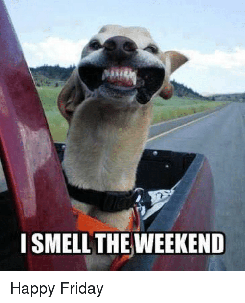 PaintballingLtd's tweet photo. The Weekend is here Paintballers! https://t.co/6vsacNgEls