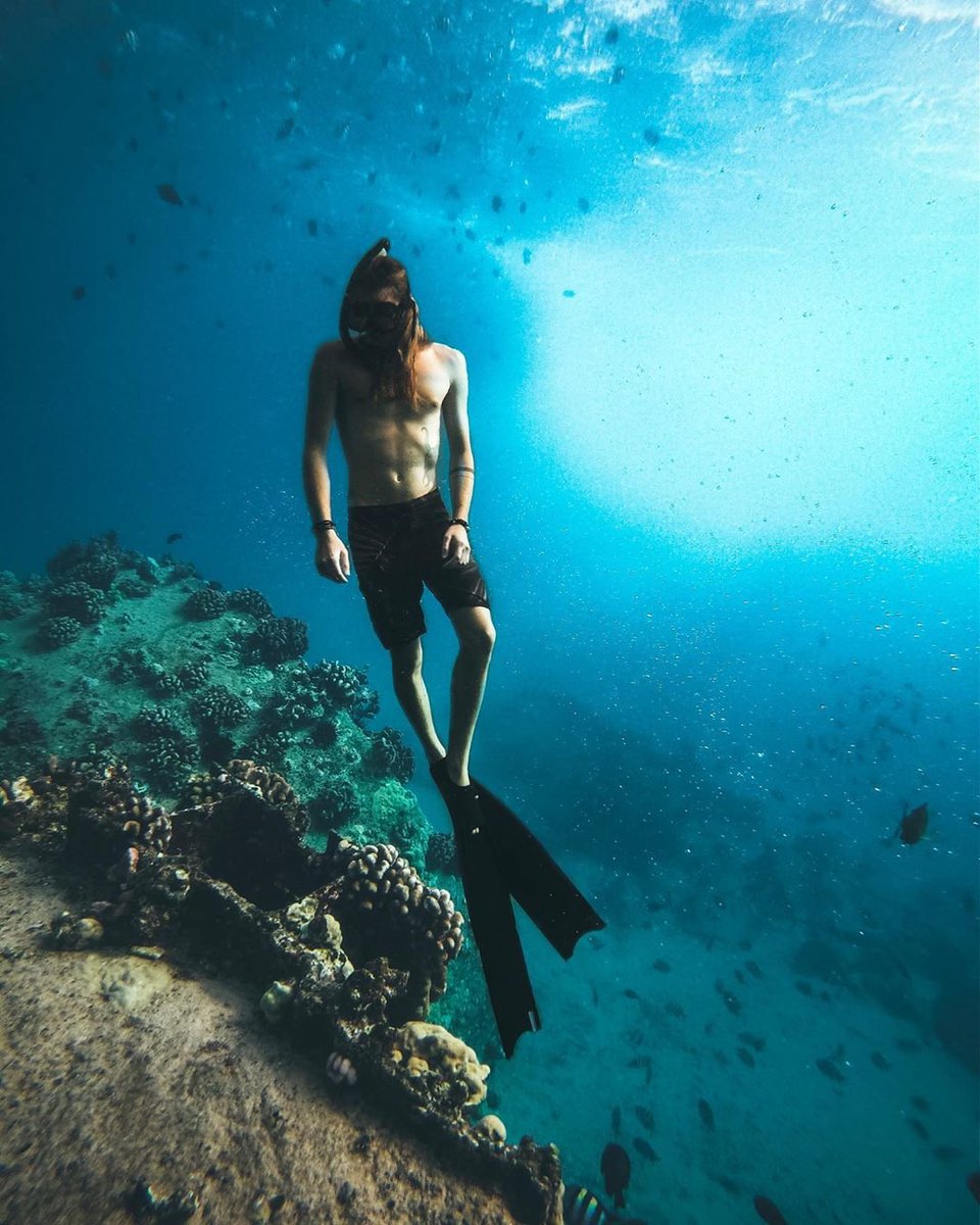 If you could snorkel anywhere in the world, where would you go?

Photo: Stratacous // Hitcase Pro

#underwater #oceans