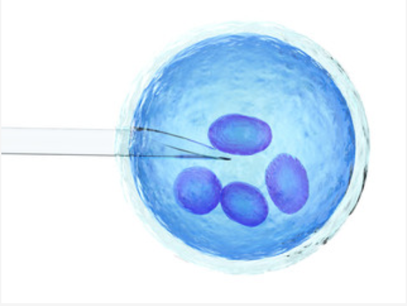 Pacific Fertility Clinic tweet media