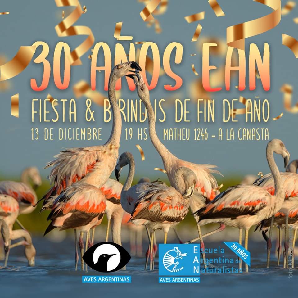 Aves Argentinas tweet media