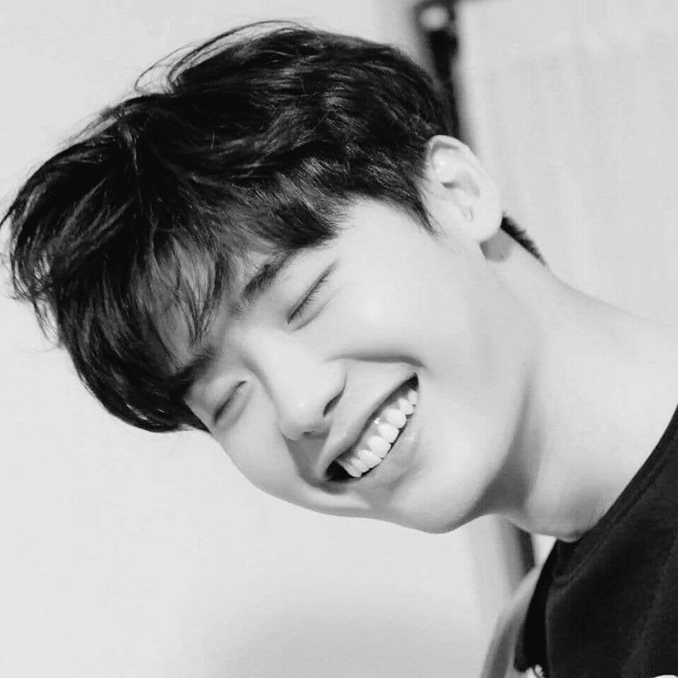 Jongsukda's tweet photo. ❁⃪۪۪꣒. ▭▬▭▬▭

❍↱ 

                      Lee
        Jong

                    Suk

      ━─━─━─━─━❁⃪۪۪꣒ https://t.co/yQuk9izmEQ