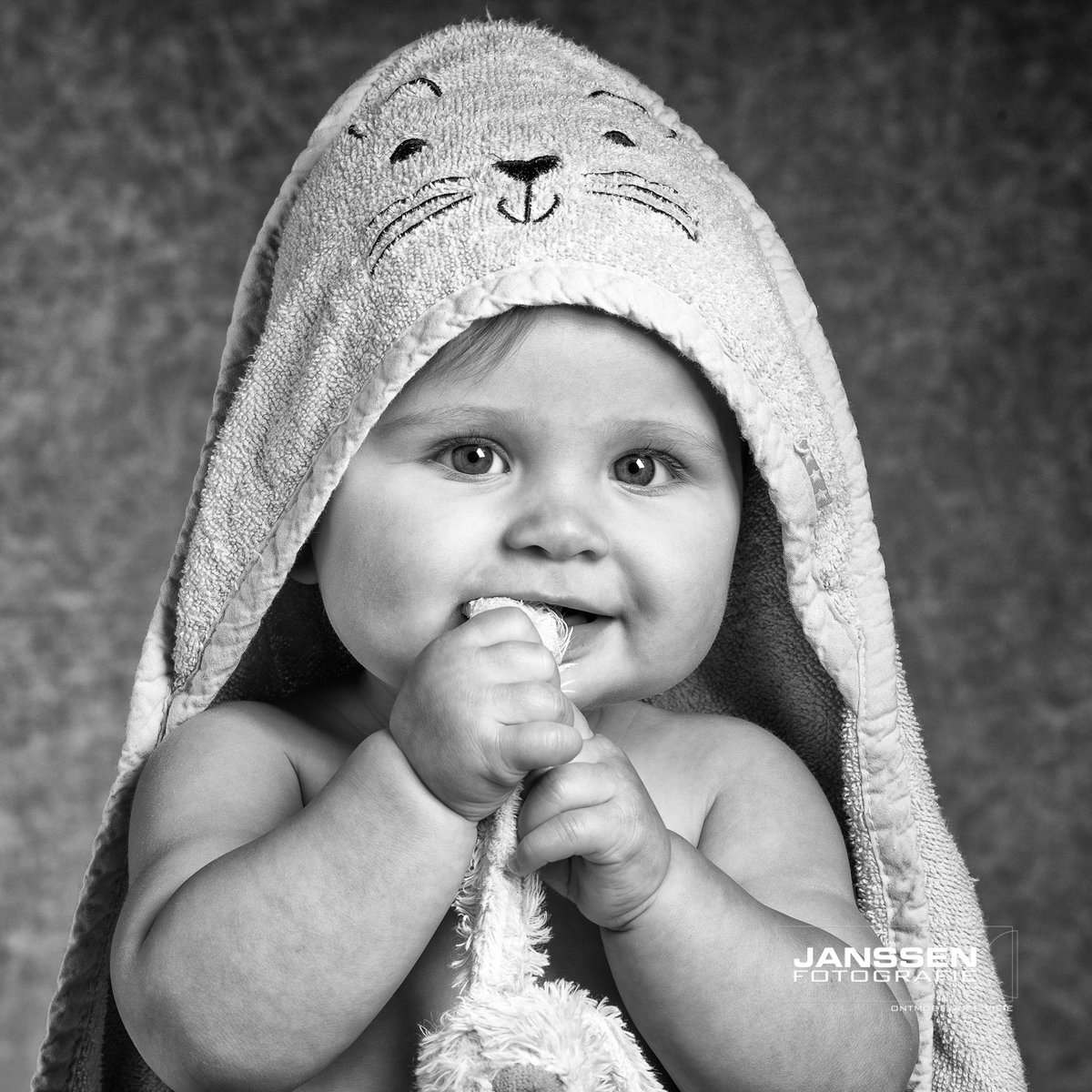 janssen-fotografie tweet media
