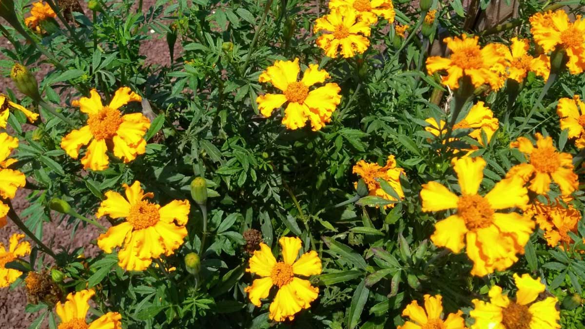 verticalscreen's tweet image. Have a great Friday and a warm weekend!