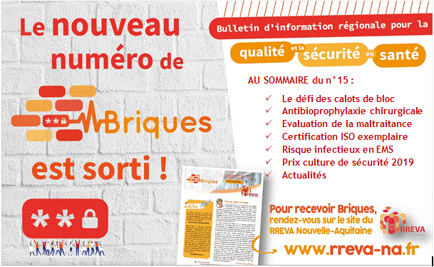 BriquesJournal's tweet image. 🚨Red friday🚨 Le Briques nouveau est arrivé ! A déguster sans modération.
rreva-na.fr/actualite