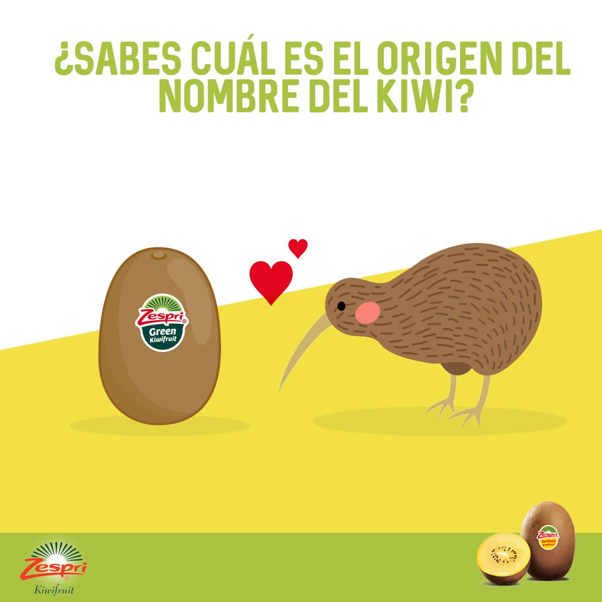 ¿Por qué se llama kiwi? ¿Tuvo otro nombre antes? 

En 🔍 kiwipedia te contamos los detalles de cómo el ave nacional de Nueva Zelanda fue inspiración para llamarle KIWIS. 
zesprilatinoamerica.com/por-que-el-kiw…