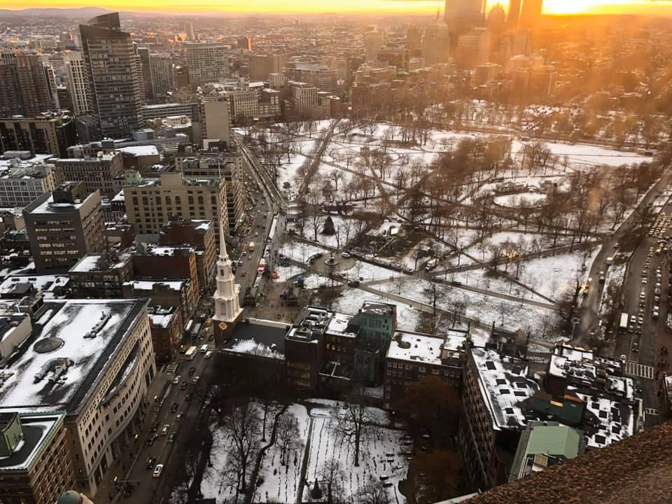 AerotecEngines's tweet photo. Honoured to have been a part of the Nova Scotia Business Inc. team of companies. The tree is in the centre of the photo. #BostonTree #Boston #Halifax #NS #NSBI https://t.co/Z4NlV1MqME