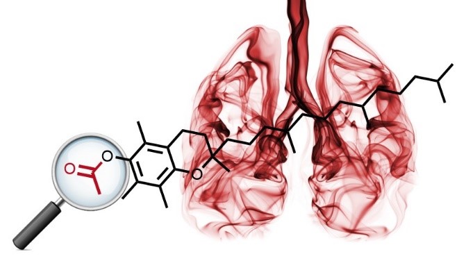 New updated additional data on ChemRxiv from the O'Shea group on the Potential for Release of Pulmonary Toxic Ketene from Vaping Pyrolysis of Vitamin E Acetate doi.org/10.26434/chemr… via <a href="/figshare/">Figshare</a>