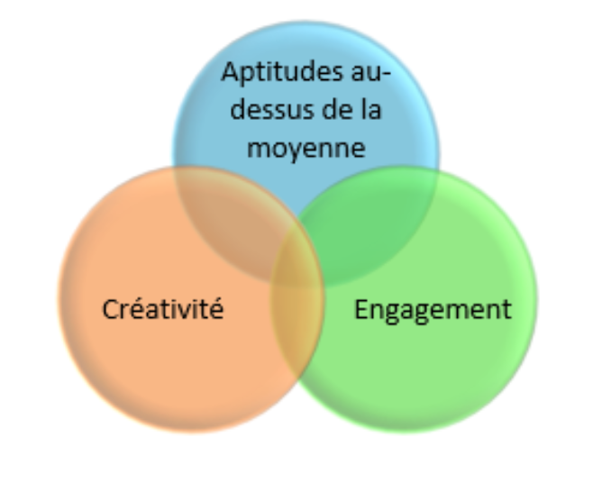 phyppolite's tweet photo. Modèle de Renzulli au #colloquedouance https://t.co/tnFRFcwgwd https://t.co/pjf6xQbYeq