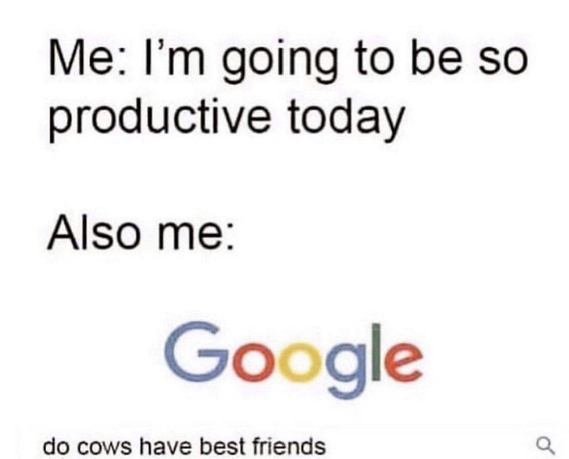 haley_hamrickk's tweet photo. Why is this me.... lol https://t.co/sChAcoIaxv