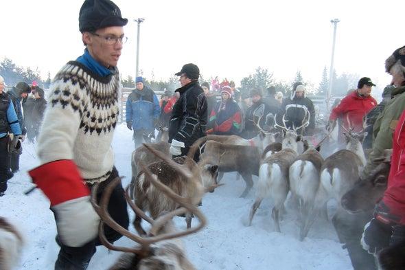 sciam's tweet photo. The Fight for the Reindeer: Scandinavia’s Sami people, who had herded reindeer for generations, had never been protesters. Until now https://t.co/3w82XkE8cu https://t.co/k5nm9TyKJ6