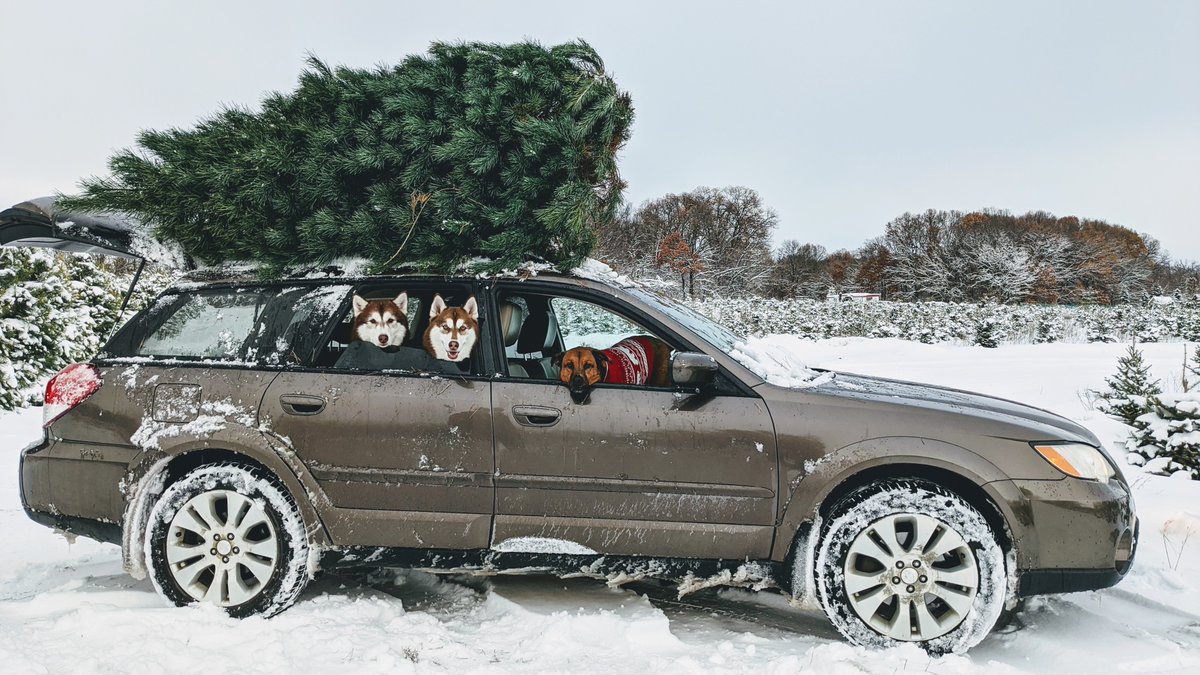 subaru_usa's tweet photo. "Ol' reliable here helping out for the holidays π". Share pictures of your holiday adventures with your pets this season. #SubaruOutback #AWDAdventure (π£οΈ πΈ: Kc Jerde) https://t.co/lgTs77u1Dv
