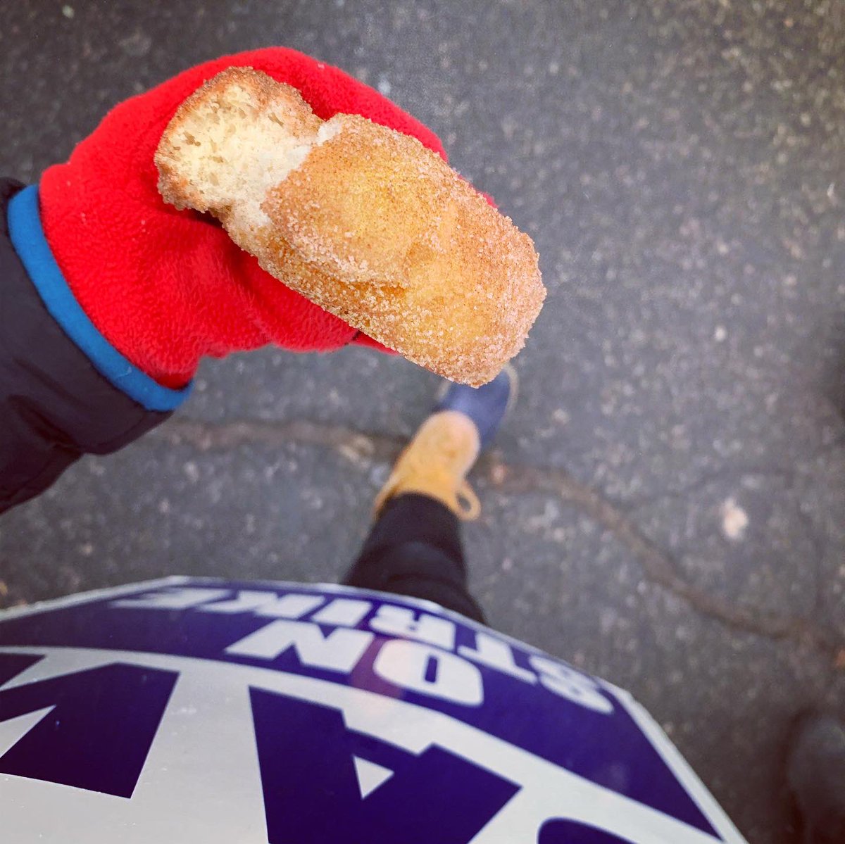 MVPs of today: 
1. the people (@hgsuuaw supporters/members??) who stopped me and @gwenaelle_ch to offer us apple cider donuts 
2. one of my Tufts undergrads who showed up to picket with us and told me I deserve better pay!! 🥰

Solidarity is so worth the cold ✊