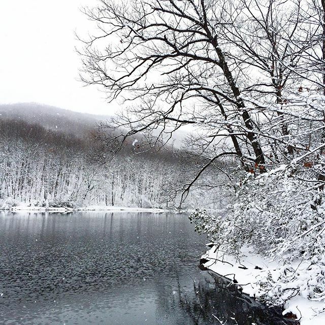 CSAPOTHECARY's tweet photo. A magical winter moment❄️ https://t.co/cmN7b3Z1oY https://t.co/Na7YGS6aJY