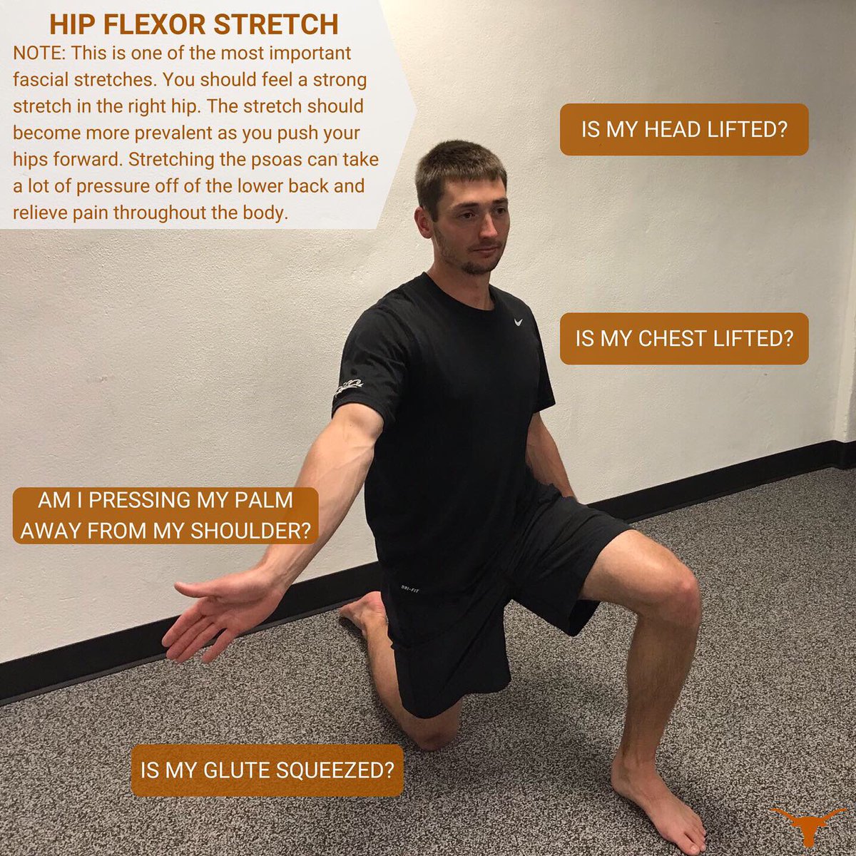 Thus, keeping fascia healthy is important &amp; requires frequent maintenance, just as keeping oral hygiene requires regular brushing.

#fascia #fascialstretching #mingmethod #anatomytrains