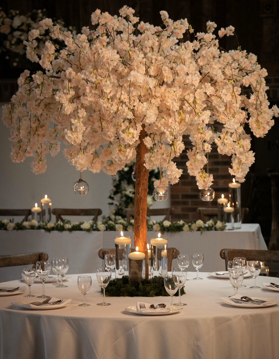 Our stunning cherry blossom tree centrepieces....

Contact us now for more information! 

#cheshireweddings #cheshireevents 
#prophirecheshire #blossomtree #treecentrepieces #venuestylist