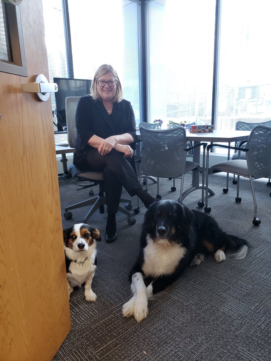 char2hack's tweet photo. Registrars Office Festive Week - Pet Therapy Day. Fur-babies everywhere! Toby and Penny are sleepy from all the attention! #RUregistrar https://t.co/dvtxe9kypa