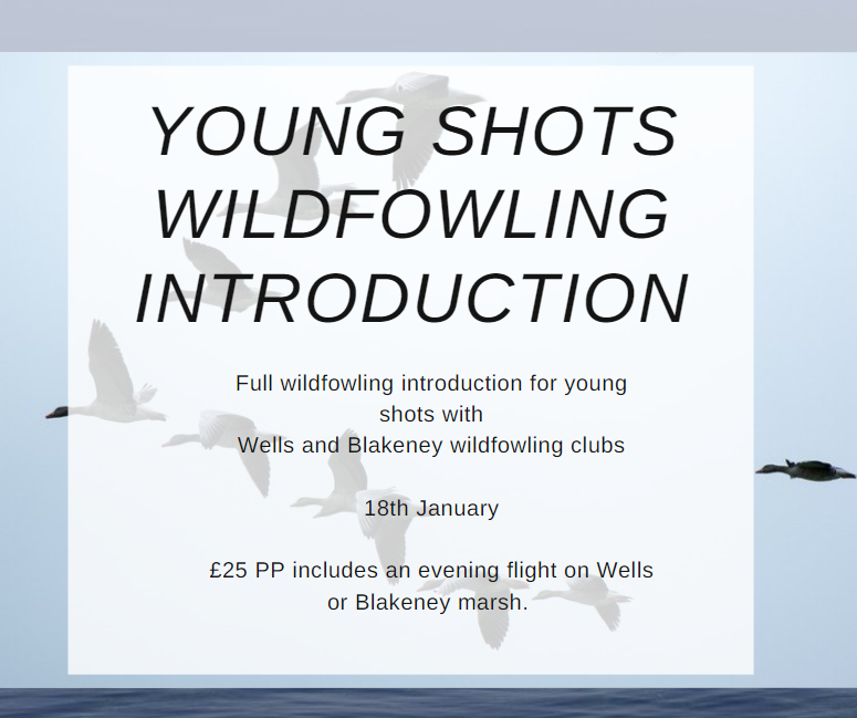 BASCEast's tweet photo. For more information contact eastern@basc.org.uk #basc #bascevent #youngshots https://t.co/HEF4IxLDoh