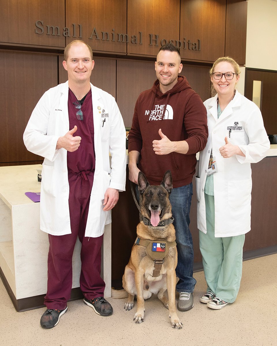 Tamu Small Animal Hospital Texas A M Expands Veterinary School